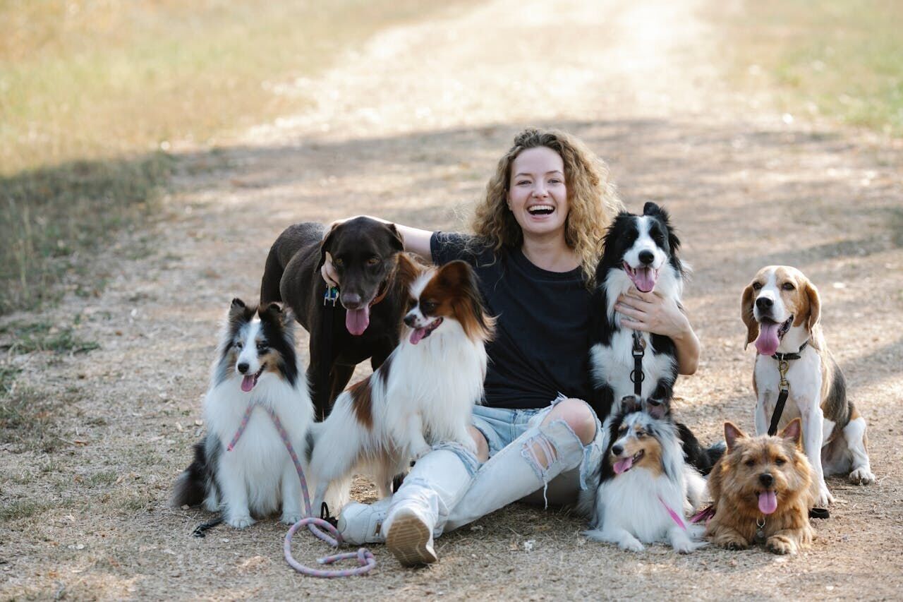Can dogs slow down aging in women?